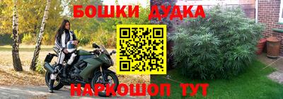 PSILOCYBIN Апрелевка