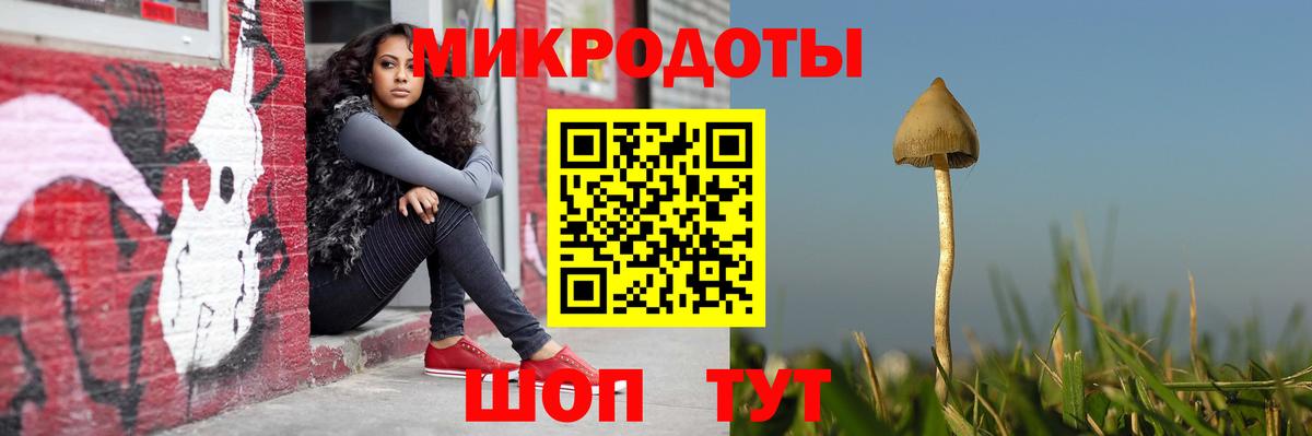 Псилоцибиновые грибы Psilocybe  Псилоцибиновые грибы Psilocybe  закладки  Вход с VPN  Выкса 